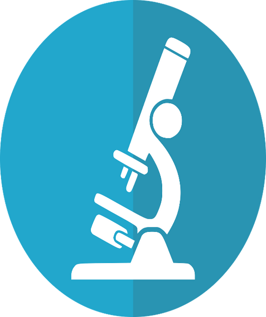 KS3 Science Group Tuition Class